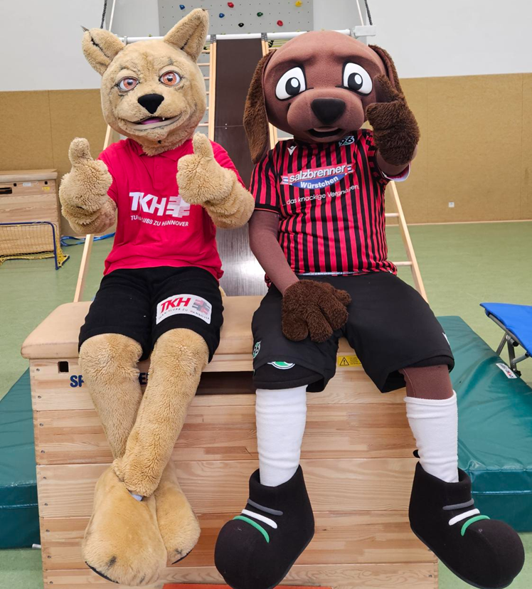 Zwei Tiermaskottchen sitzen auf einer Turnhallenbank und zeigen die Daumen nach oben, sie tragen Sporthemden und kurze Hosen.